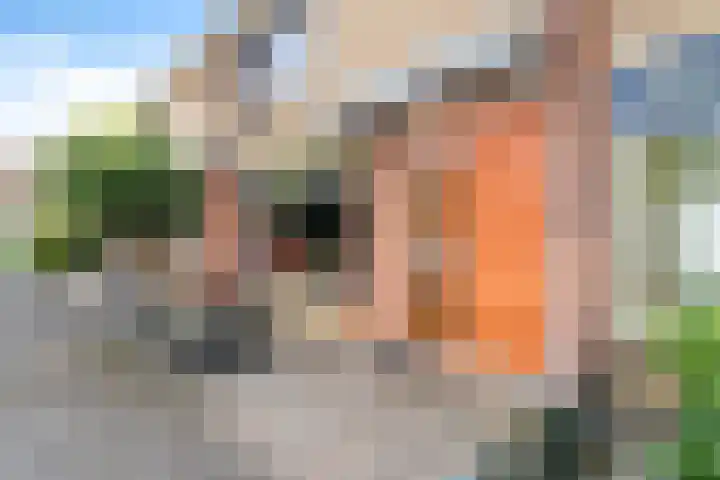 Langeberg 48 Zoetermeer thumbnail 6