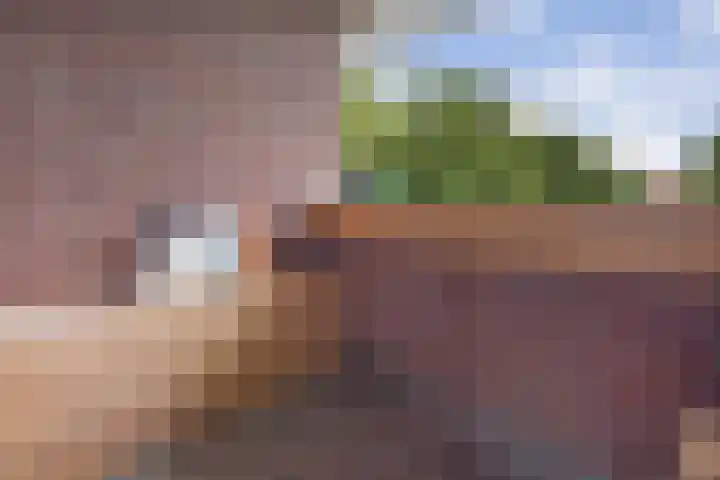 Langeberglaan 6 Brunssum thumbnail 17