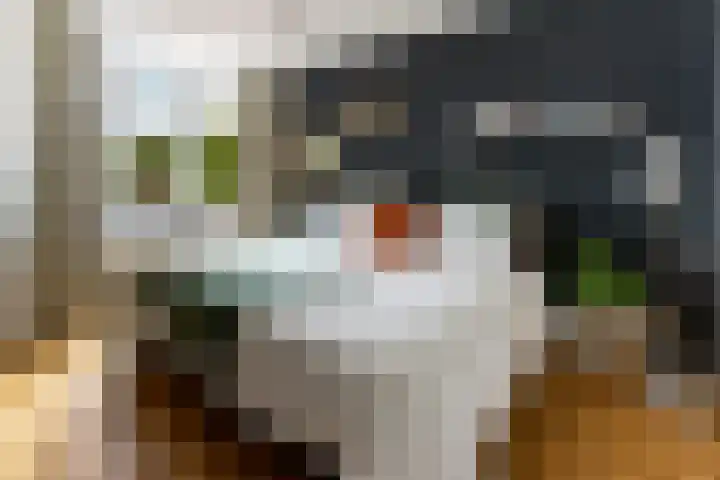 Langeberglaan 6 Brunssum thumbnail 18