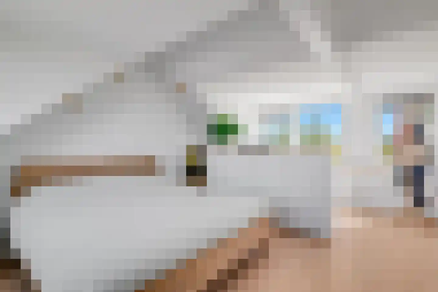 Langebreek 19 Landsmeer thumbnail 30