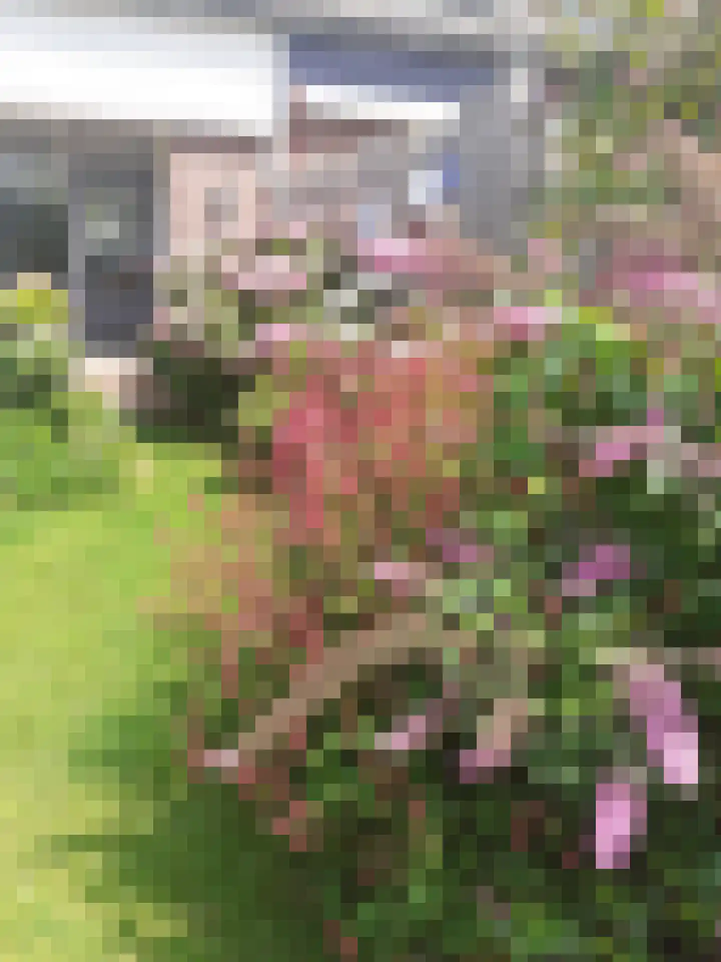 Langebreek 37 Landsmeer thumbnail 13