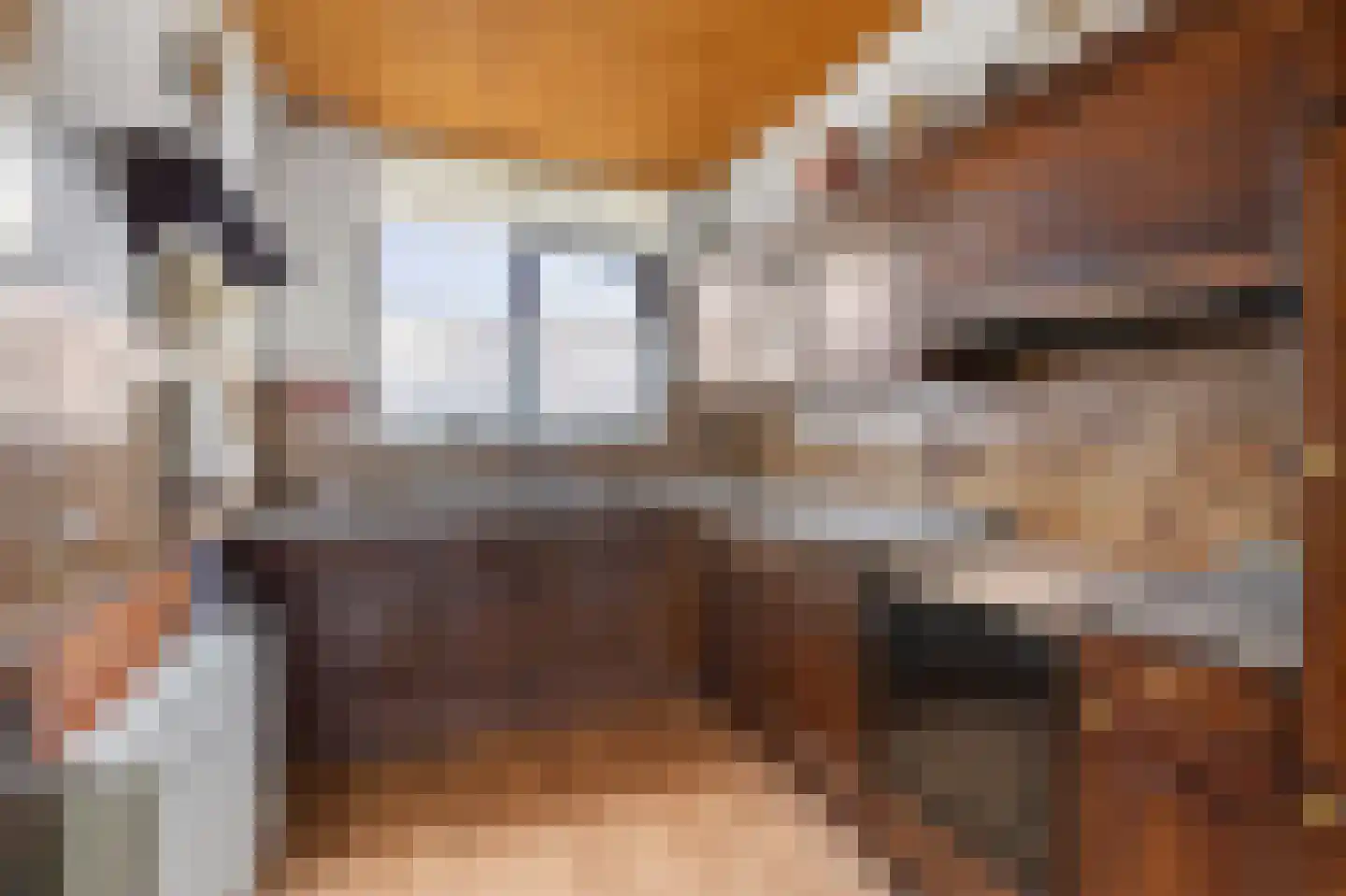 Langebreek 37 Landsmeer thumbnail 6