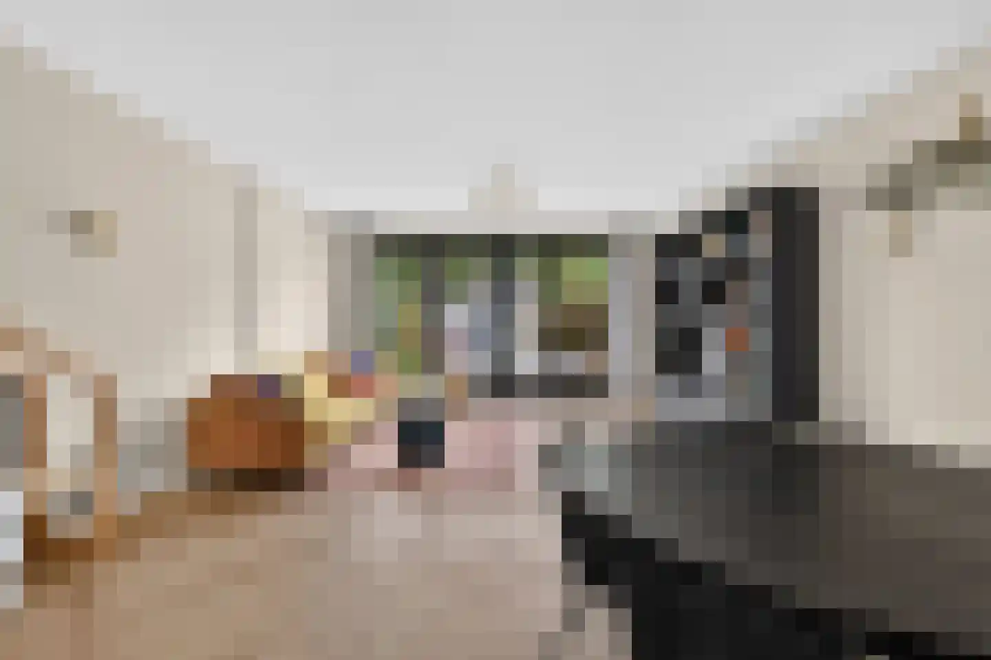 Langebreek 54 Landsmeer thumbnail 13