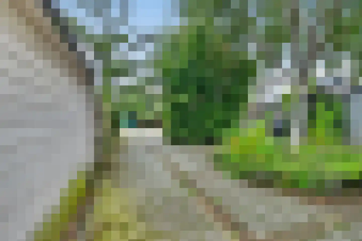 Langebreek 54 Landsmeer thumbnail 45