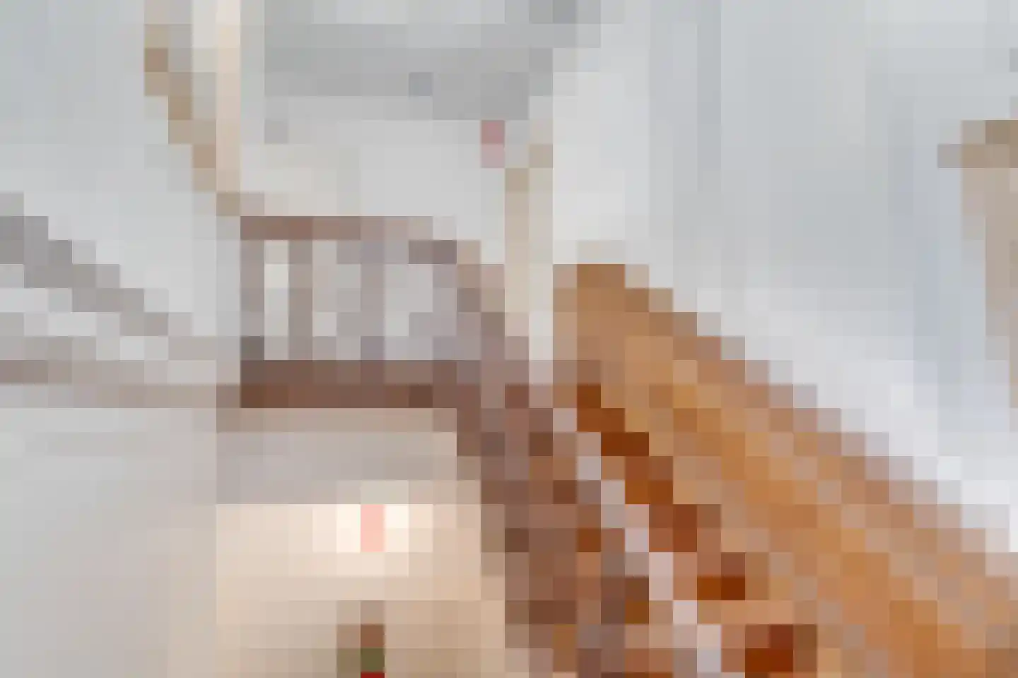 Langebrug 6 P Leiden thumbnail 7