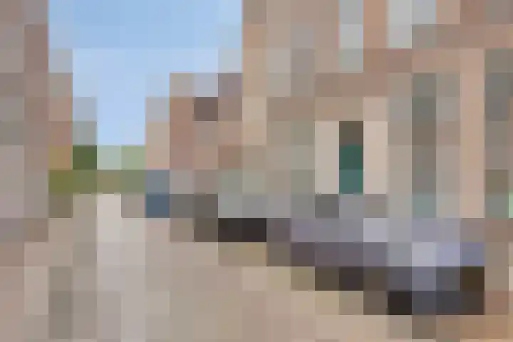 Langebrug 89 Leiden thumbnail 28