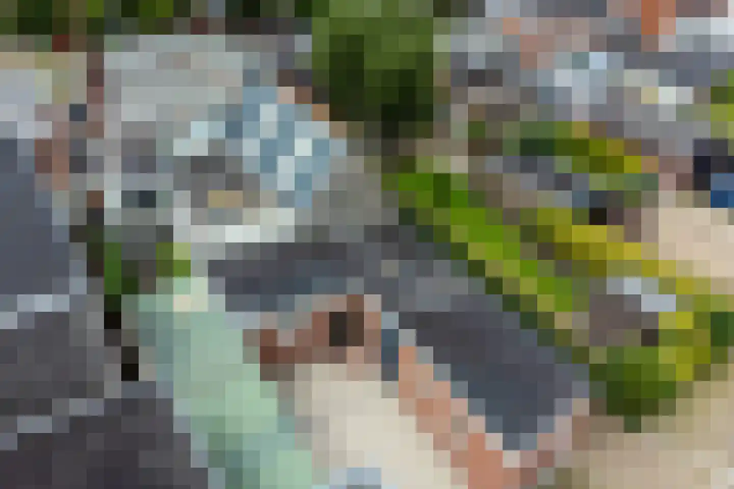 Langebuorren 13 Stiens thumbnail 20
