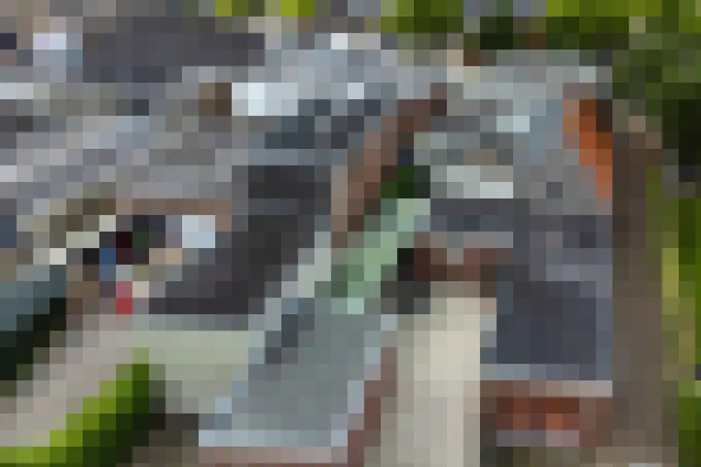 Langebuorren 13 Stiens thumbnail 21