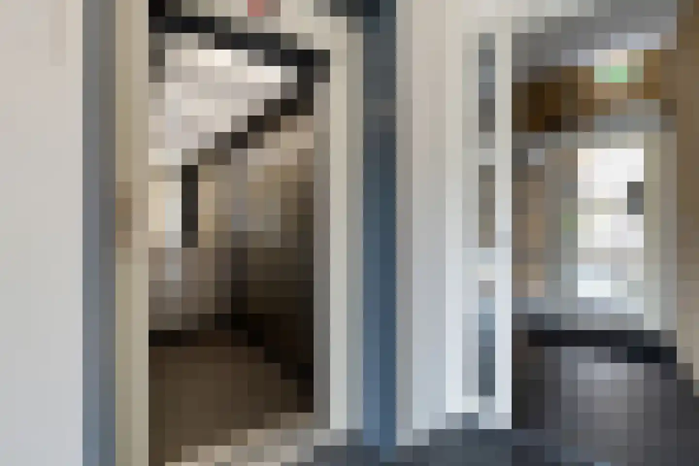 Langebuorren 40 Stiens thumbnail 11