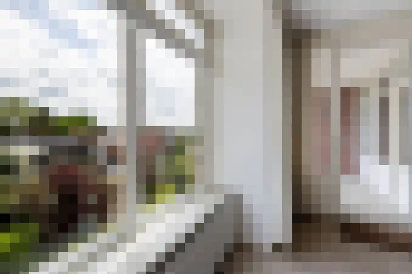 Langebuorren 40 Stiens thumbnail 30