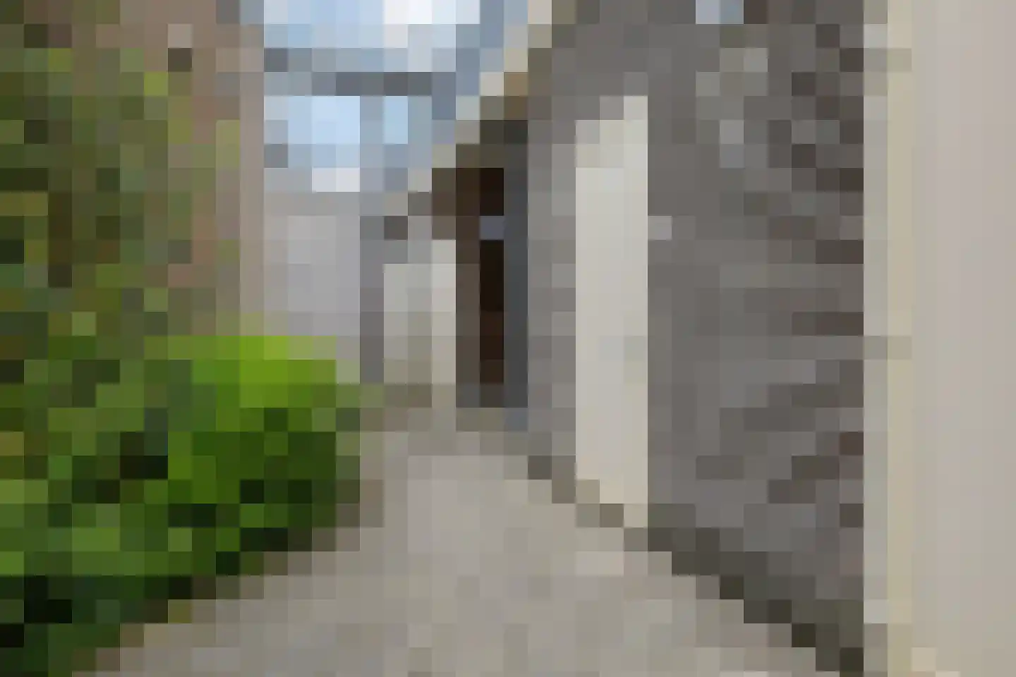 Langebuorren 40 Stiens thumbnail 34