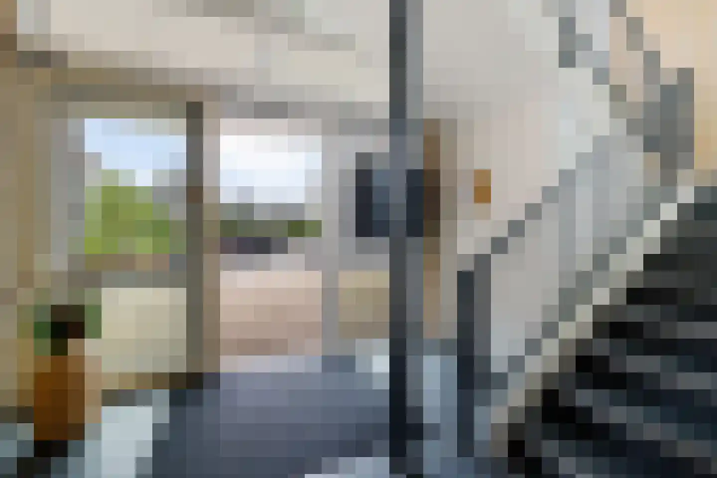 Langebuorren 40 Stiens thumbnail 9