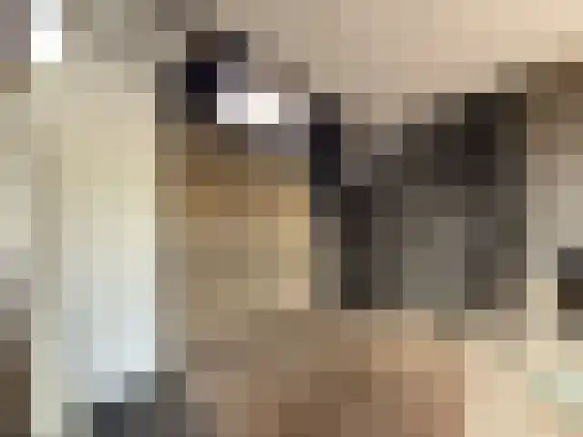 Langebuorren 41 Hallum thumbnail 18