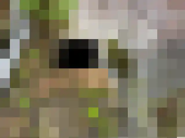 Langebuorren 41 Hallum thumbnail 33