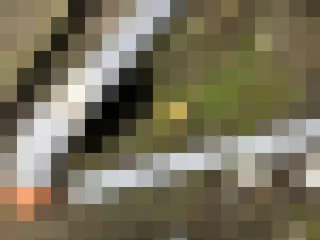 Langebuorren 41 Hallum thumbnail 34