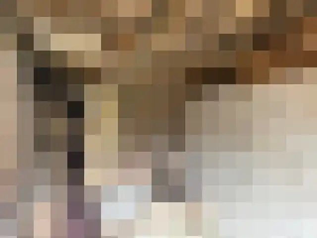 Langebuorren 41 Hallum thumbnail 35
