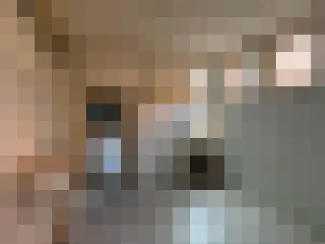 Langebuorren 41 Hallum thumbnail 7