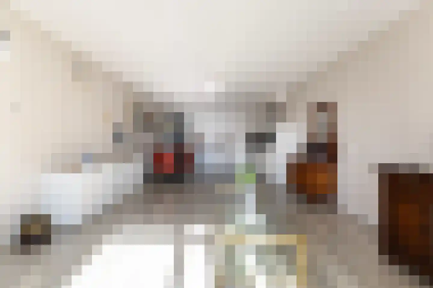 Langebuorren 42 Stiens thumbnail 14