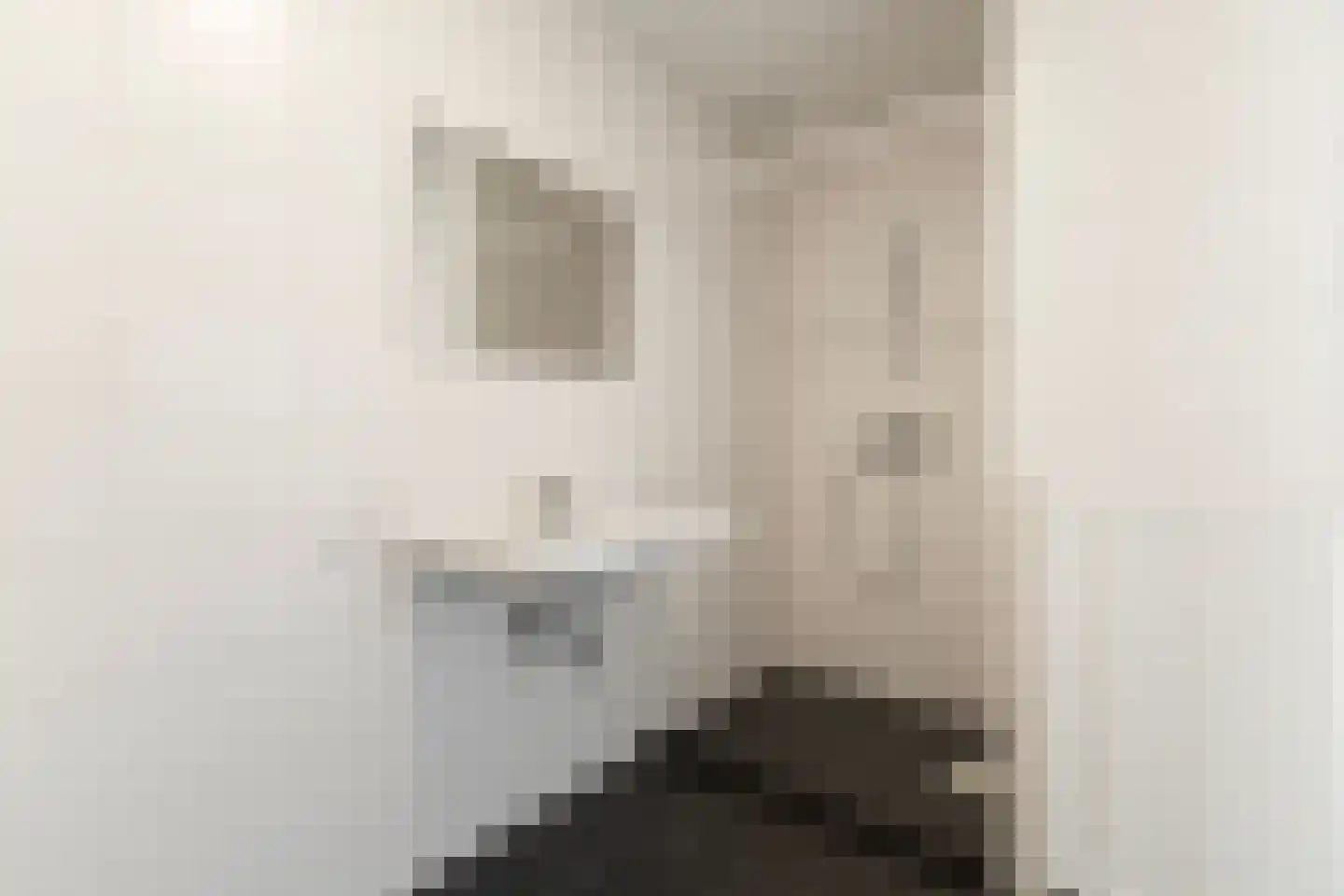 Langebuorren 42 Stiens thumbnail 24