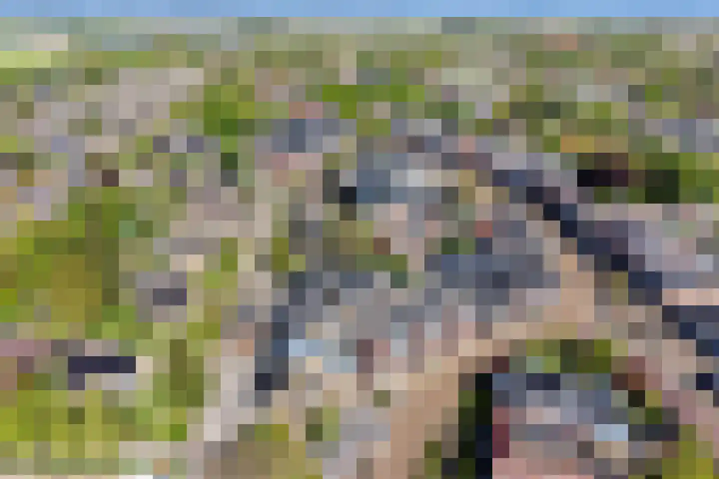 Langebuorren 42 Stiens thumbnail 30