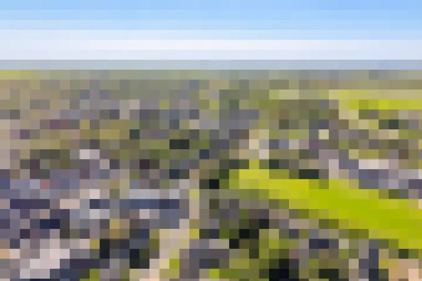 Langebuorren 42 Stiens thumbnail 31