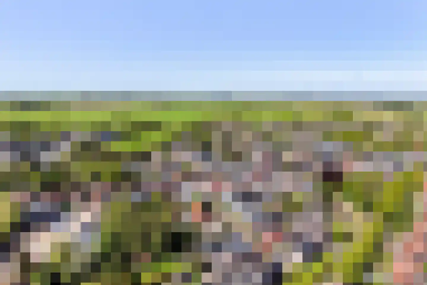 Langebuorren 42 Stiens thumbnail 32