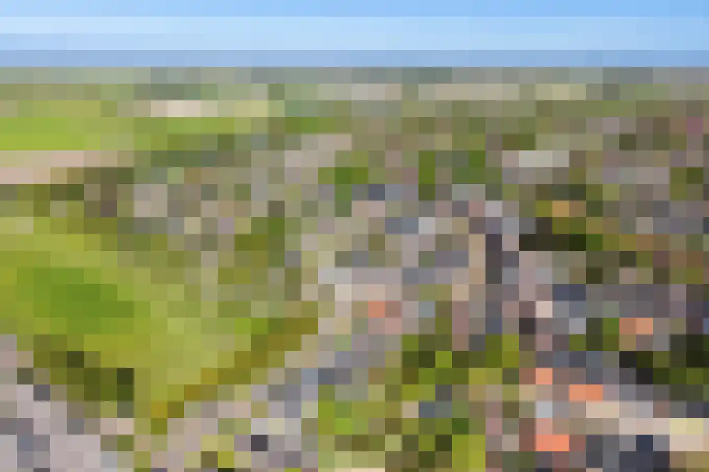 Langebuorren 42 Stiens thumbnail 33
