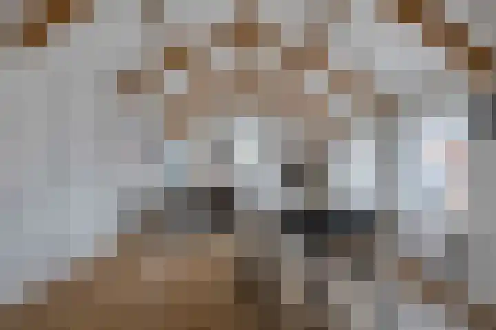 Langebuurt 17 a Uitgeest thumbnail 10