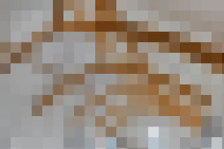 Langebuurt 17 a Uitgeest thumbnail 11