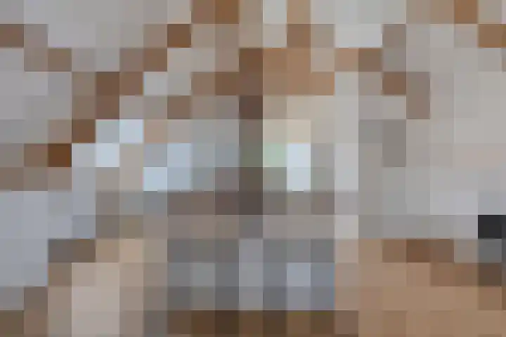 Langebuurt 17 a Uitgeest thumbnail 12
