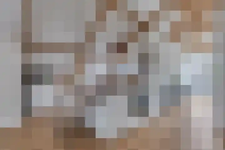 Langebuurt 17 a Uitgeest thumbnail 13