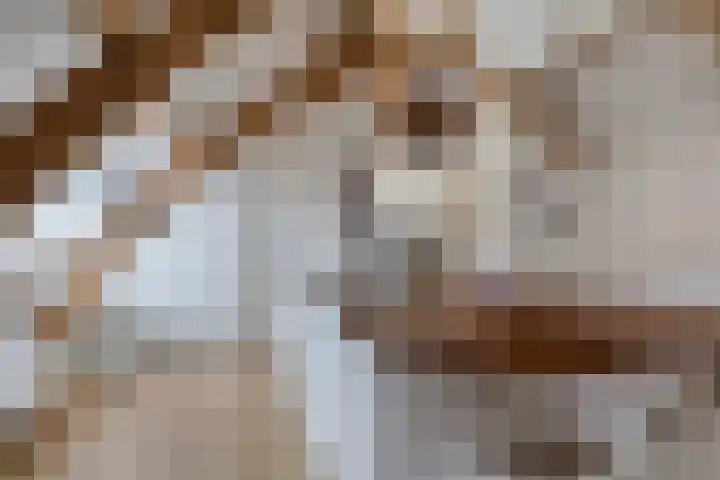 Langebuurt 17 a Uitgeest thumbnail 14