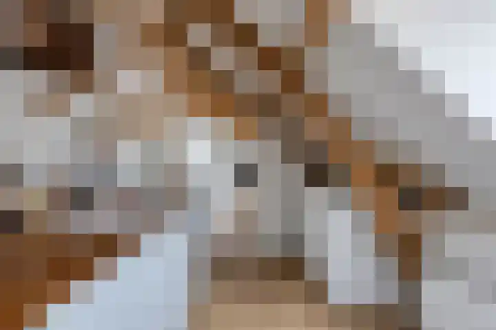 Langebuurt 17 a Uitgeest thumbnail 15