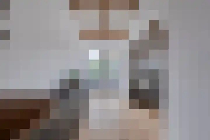 Langebuurt 17 a Uitgeest thumbnail 19