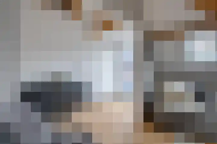 Langebuurt 17 a Uitgeest thumbnail 21