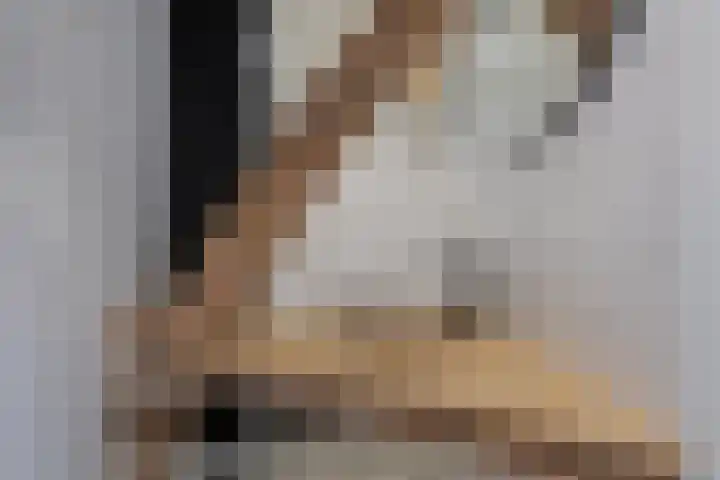 Langebuurt 17 a Uitgeest thumbnail 24