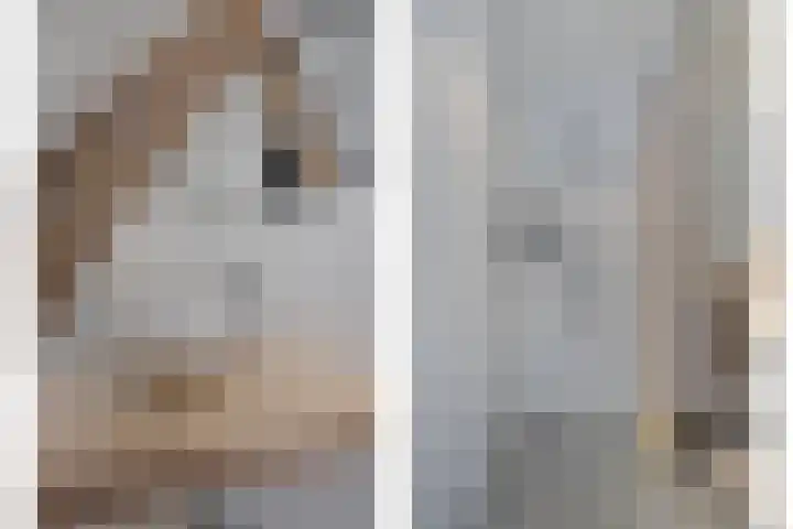 Langebuurt 17 a Uitgeest thumbnail 25