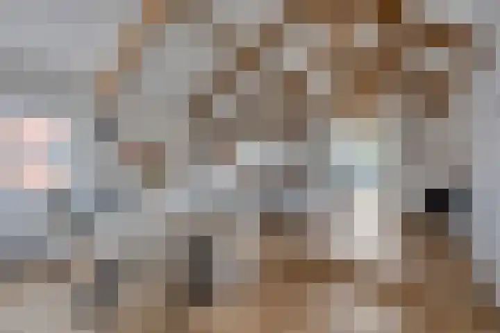 Langebuurt 17 a Uitgeest thumbnail 32