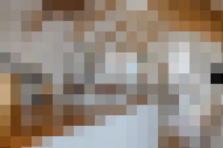 Langebuurt 17 a Uitgeest thumbnail 7