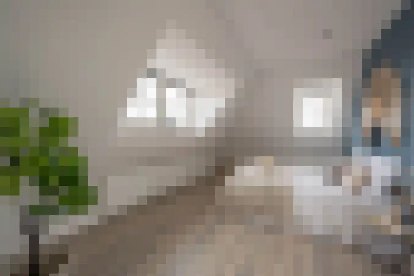 Langebuurt 2 c Uitgeest thumbnail 20