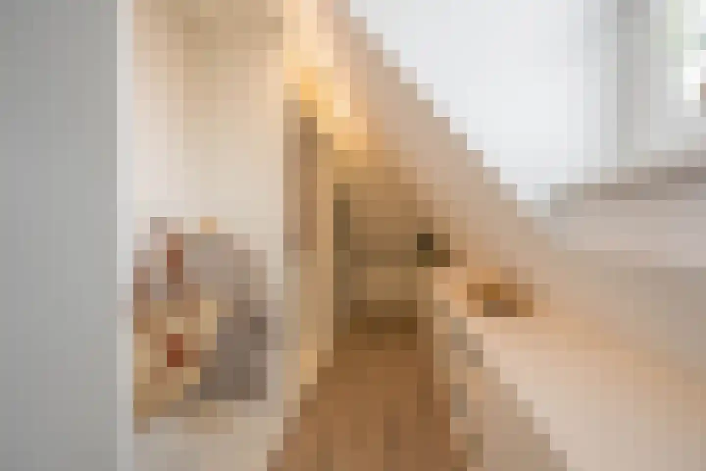 Langebuurt 2 c Uitgeest thumbnail 23