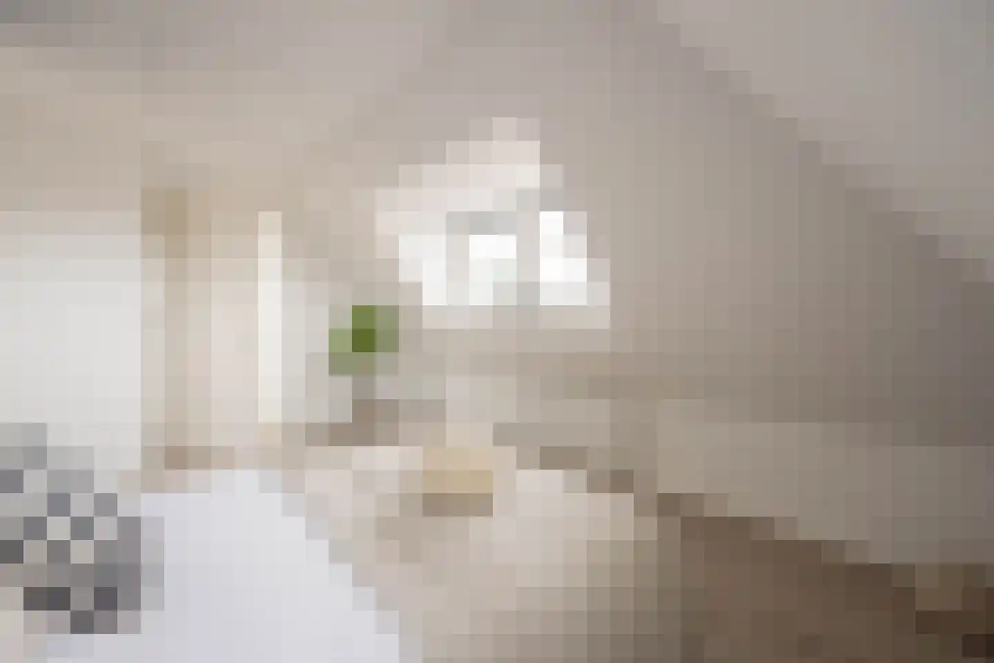 Langebuurt 2 c Uitgeest thumbnail 25
