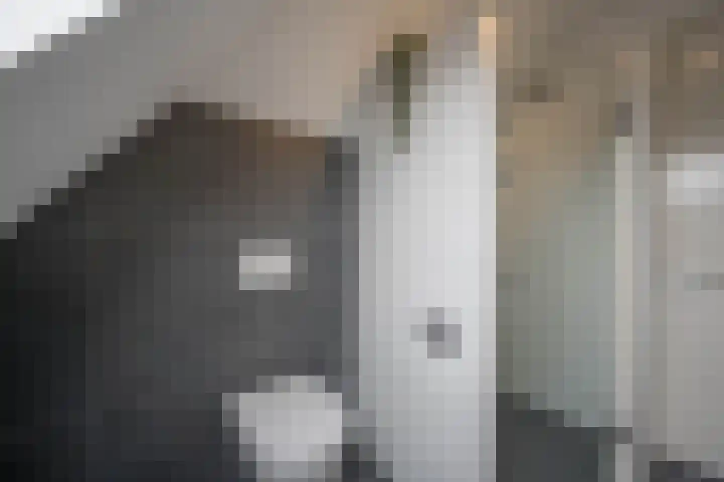 Langebuurt 2 c Uitgeest thumbnail 27
