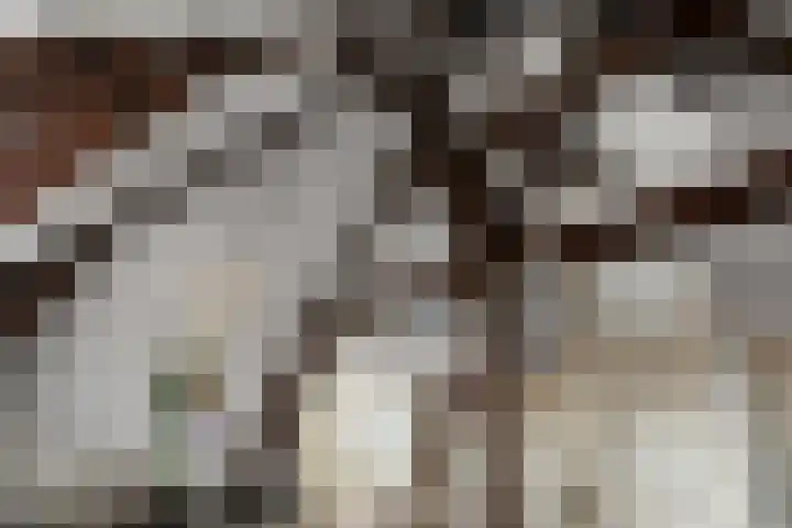 Langebuurt 29 e Uitgeest thumbnail 13