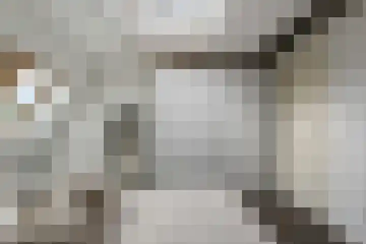 Langebuurt 29 e Uitgeest thumbnail 18