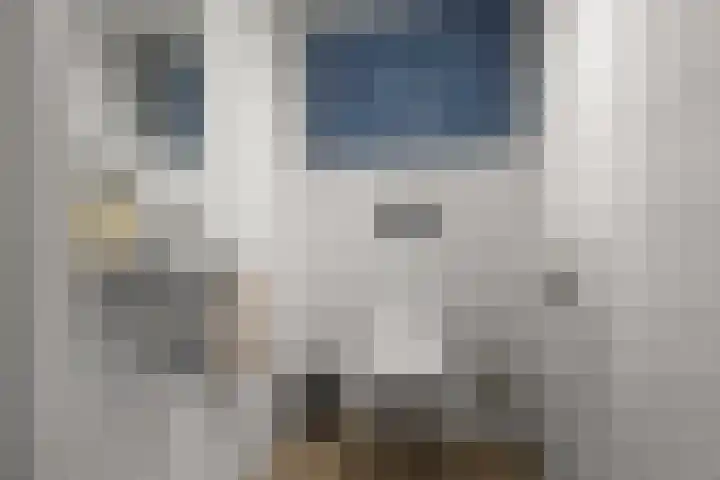Langebuurt 29 e Uitgeest thumbnail 26