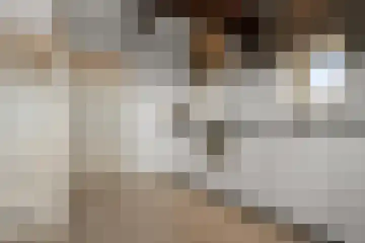 Langebuurt 29 e Uitgeest thumbnail 6