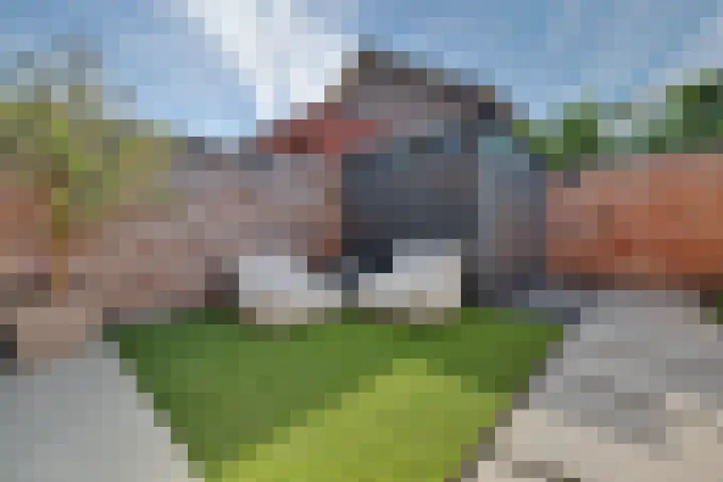 Langecruysstraat 15 Hilvarenbeek thumbnail 29