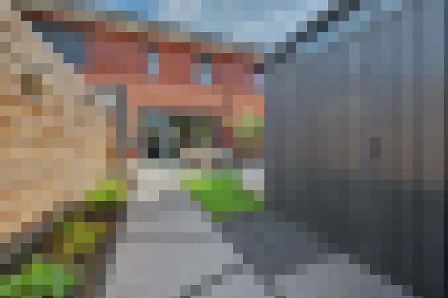 Langecruysstraat 15 Hilvarenbeek thumbnail 31