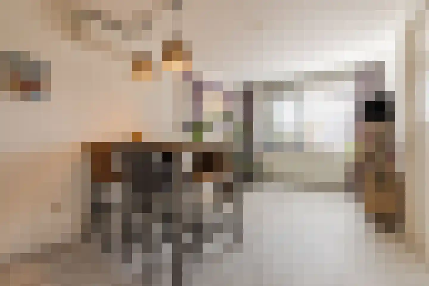 Langecruysstraat 28 Hilvarenbeek thumbnail 13
